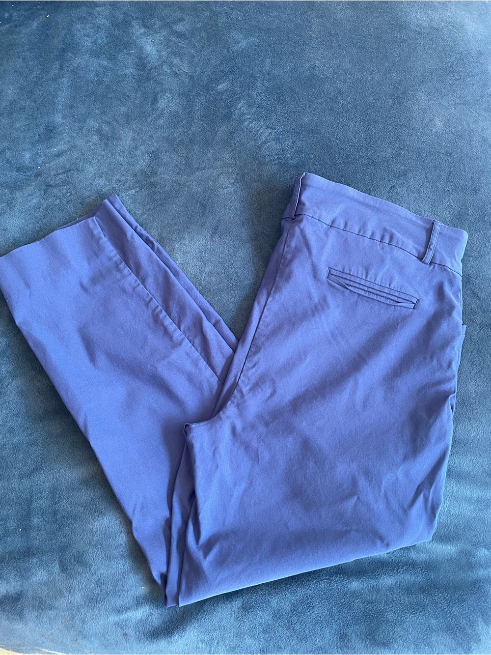 Hilary Radley Blue Cropped Ankle Pants